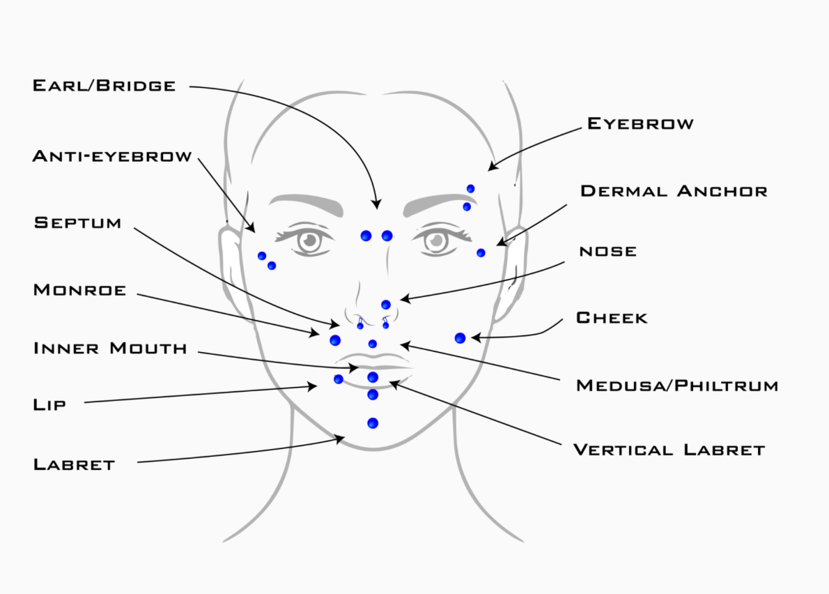 Types of piercings on sale face